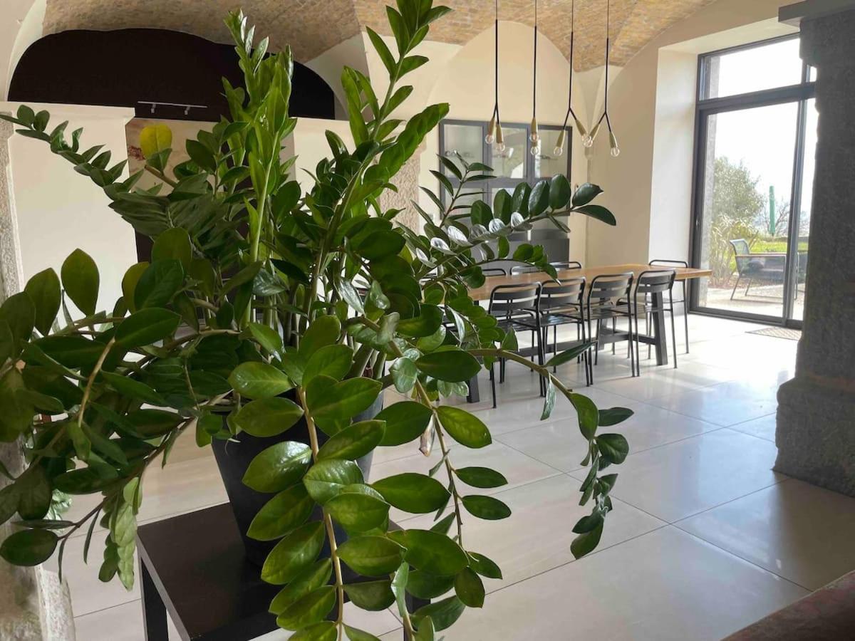 Chambres - Ancien Domaine De Chartreux Tullins 外观 照片